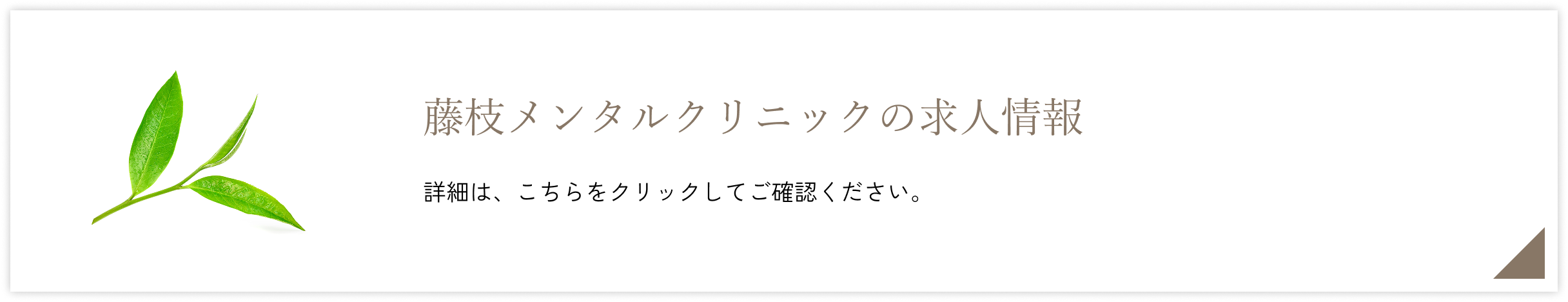 藤枝クリニックの求人情報 詳しくはこちら